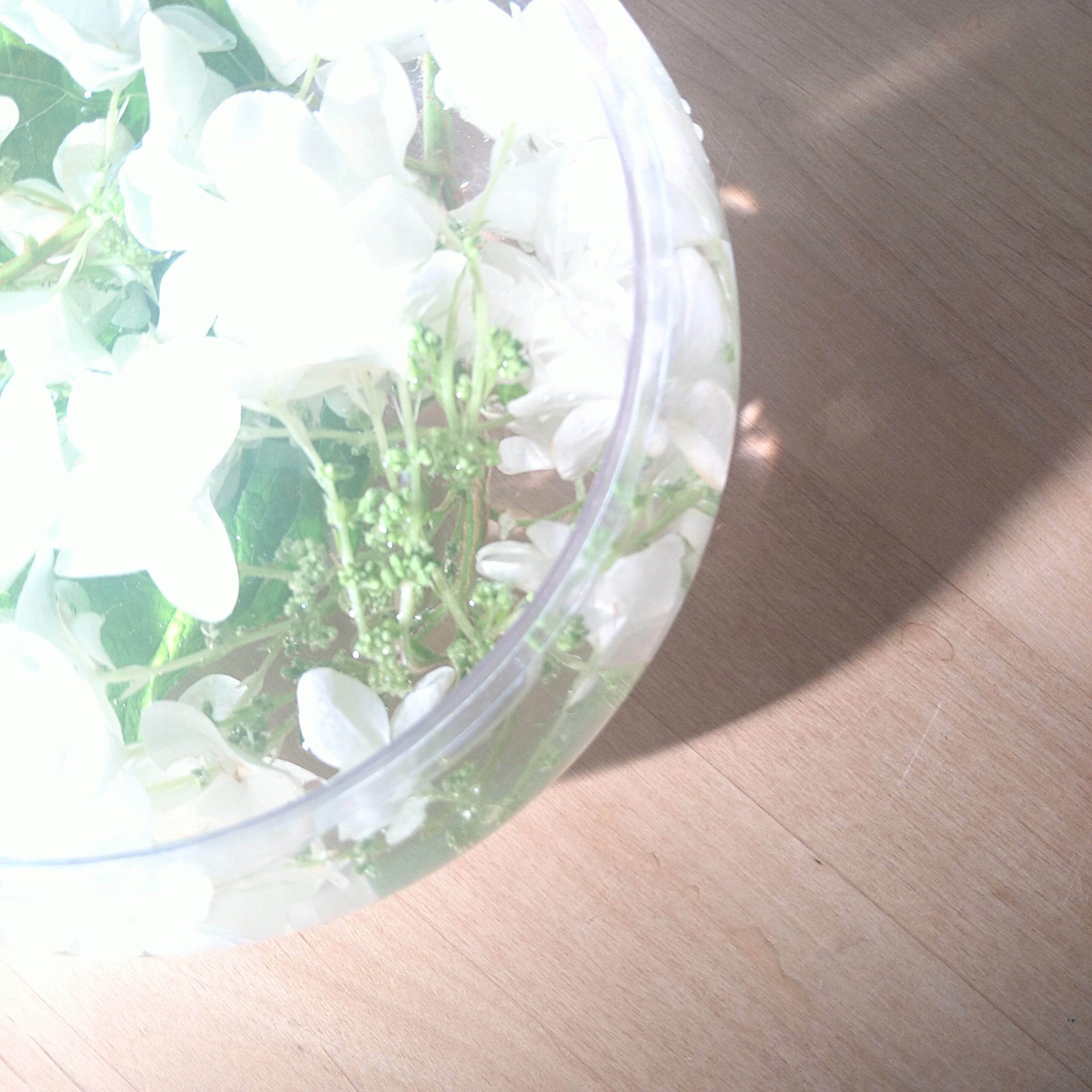 初心者のいけばなでおもてなしVOL.2″お家にある器に切り花をいれてみよう”